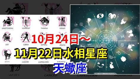 1122星座|『星座物語』11月22日的天蠍座或射手座：崇尚自由 